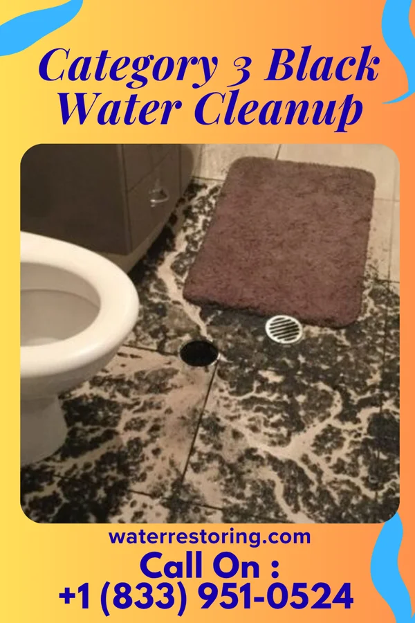 Category 3 Black Water Cleanup in Fruitvale, TX